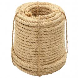 Corde 100 % en sisal 16 mm 100 m alsavelo