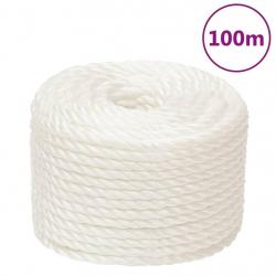 Corde de travail Blanc 16 mm 100 m polypropylène alsavelo