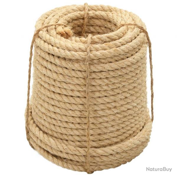 Corde 100 % en sisal 16 mm 50 m alsavelo