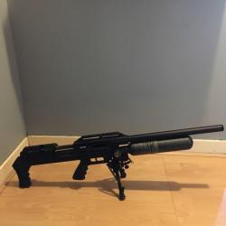 carabine fx + compresseur new warrior