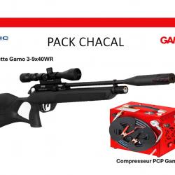 Vente flash ! Carabine PCP GAMO CHACAL Cal. 5,5 mm + Lunette Gamo 3-9 x 40WR + Compresseur Pcp Gamo