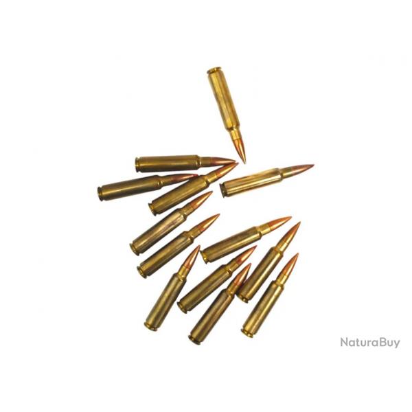 MUNITIONS NOLASCO 30-284 WIN