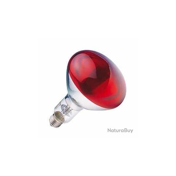 Ampoule infrarouge 175W