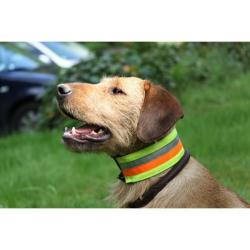 Collier de sécurité réfléchissant pour chien 30 cm