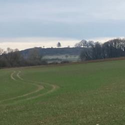 Part de chasse mixte petits et grands gibiers