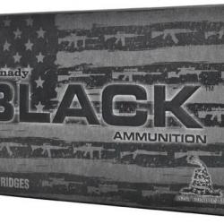HORNADY - Cartouches 300 blackout 110gr NTX black