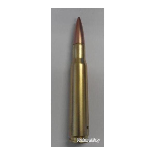 Munitions 12.7 x 99 mm / .50 BMG Neutralise