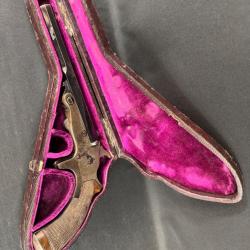 EXTRAORDINAIRE TRANTER cal 22 short / 22 bosquette