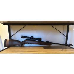 Carabine Gamo Hunter 440 AS + lunette 3-9X40 wr (20 joules)