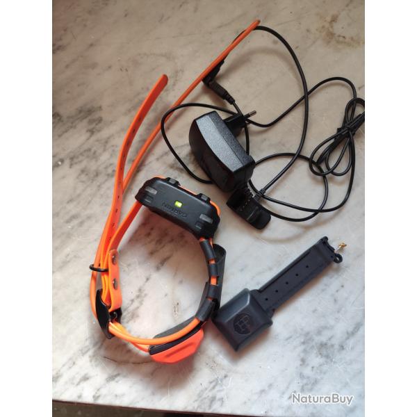 Collier Garmin