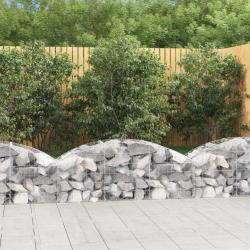Panier de gabions arqué 150x50x40/60 cm Fer galvanisé alsavelo