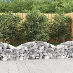 Panier de gabions arqué 150x30x40/60 cm Fer galvanisé alsavelo