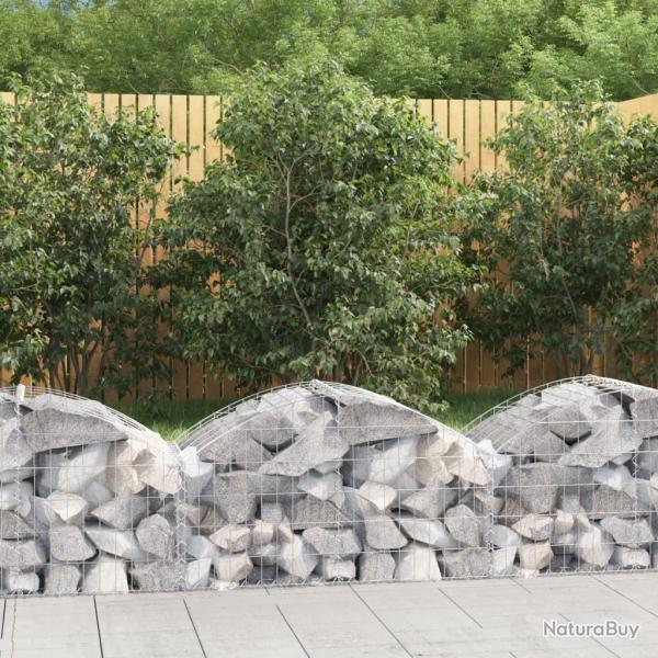 Panier de gabions arqu 100x50x40/60 cm Fer galvanis alsavelo