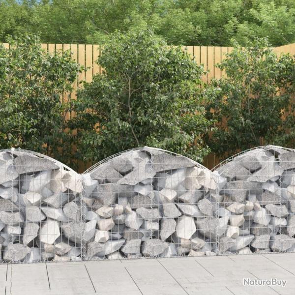 Panier de gabions arqu 100x30x60/80 cm Fer galvanis alsavelo