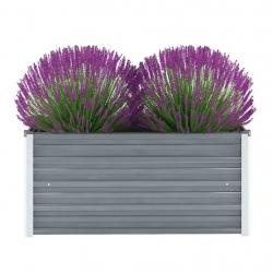 Lit surélevé de jardin Acier galvanisé 100x40x45 cm Gris alsavelo