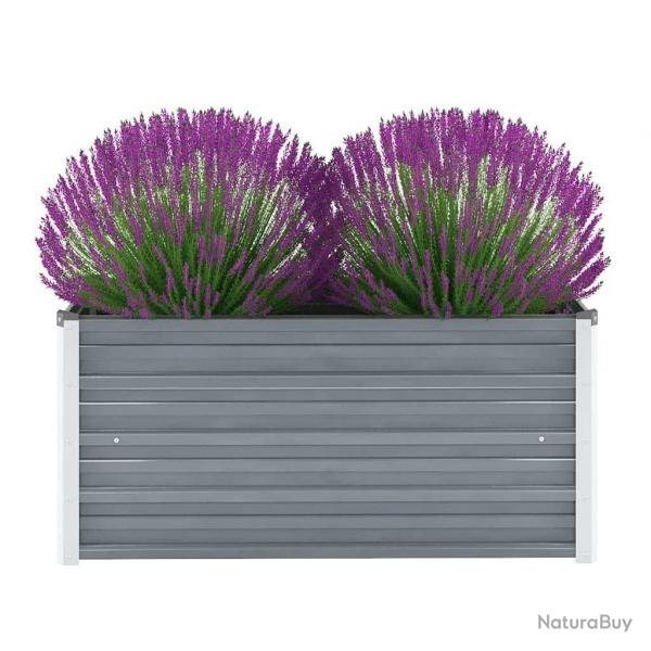 Lit surlev de jardin Acier galvanis 100x40x45 cm Gris alsavelo