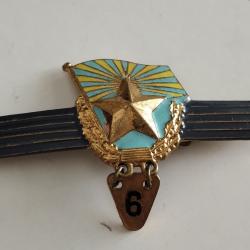 INSIGNE DE L'EXTRA CONSCRIT ARMÉE DE L'AIR SOVIETIQUE URSS CCCP 1970s