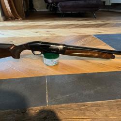 Benelli raffaello 2013