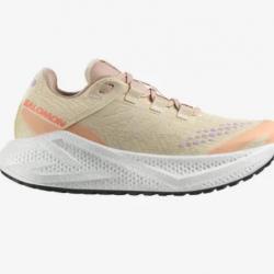 Salomon AERO GLIDE 3 GRVL W Femme 1 3 Beige