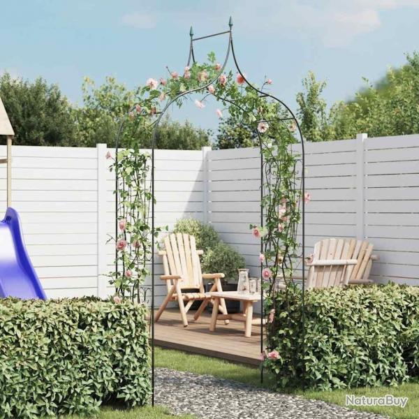 Arche de jardin Design de piquet plantes grimpantes Vert fonc alsavelo