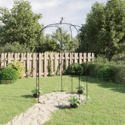 Arche de jardin Noir Ø180x255 cm Acier alsavelo