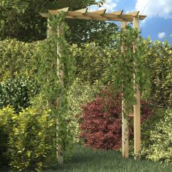Arche pour rosiers 150 x 60 x 204 cm bois imprégné alsavelo