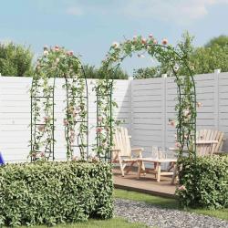 Arche de jardin 2 pcs pour plantes grimpantes alsavelo