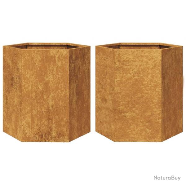 Jardinire bac lit surlev plantes fleurs jardin terrasses lot de 2 hexagone 46 x 40 x 45 cm acier