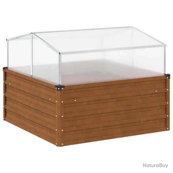 Jardinire bac lit surlev plantes fleurs terrasse jardin de jardin avec serre acier rsistant aux