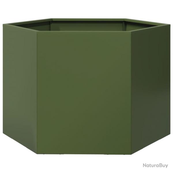 Jardinire bac lit surlev plantes fleurs terrasse jardin olive hexagone 69 x 60 x 45 cm acier ver