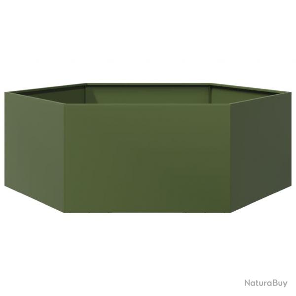Jardinire bac lit surlev plantes fleurs terrasse jardin olive hexagone 138 x 120 x 45 cm acier v