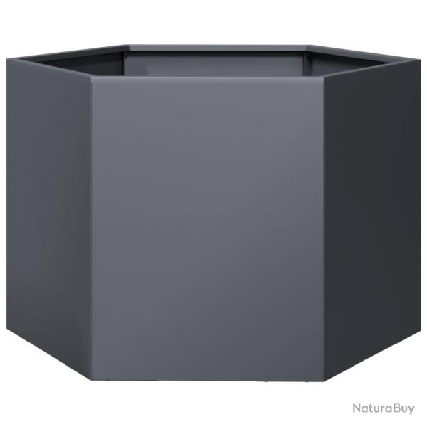 Jardinire bac lit surlev plantes fleurs terrasse jardin hexagone 69 x 60 x 45 cm acier anthracit