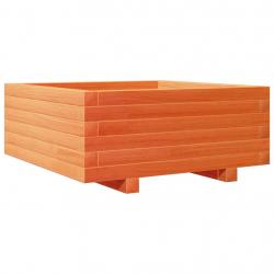 Jardinière bac lit surélevé plantes fleurs terrasse jardin cire 60 x 60 x 26,5 cm bois de pin massi