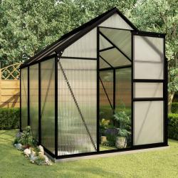 Serre avec cadre de base Anthracite Aluminium 3,61 m² alsavelo