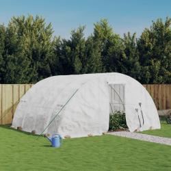 Serre avec cadre en acier blanc 20 m² 5x4x2,3 m alsavelo