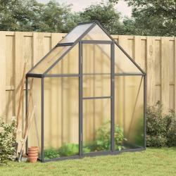 Serre avec cadre de base anthracite 169x58x195 cm aluminium alsavelo