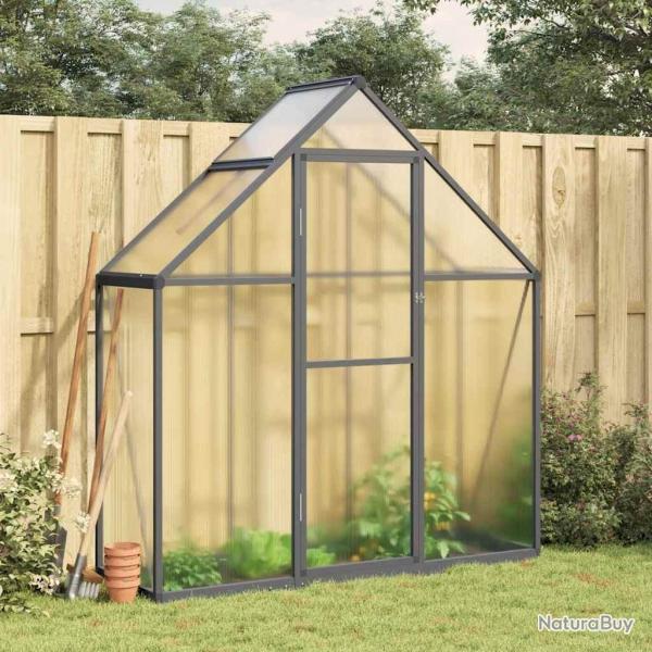 Serre avec cadre de base anthracite 169x58x195 cm aluminium alsavelo