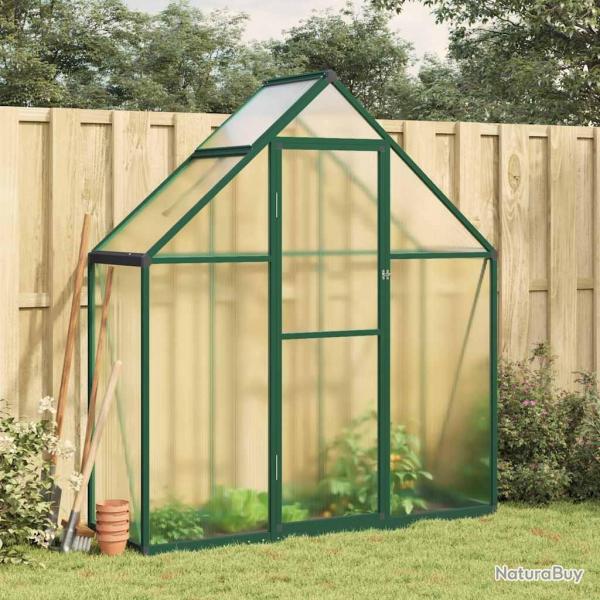 Serre avec cadre de base vert 169x58x195 cm aluminium alsavelo