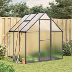 Serre avec cadre de base anthracite 169x169x195 cm aluminium alsavelo