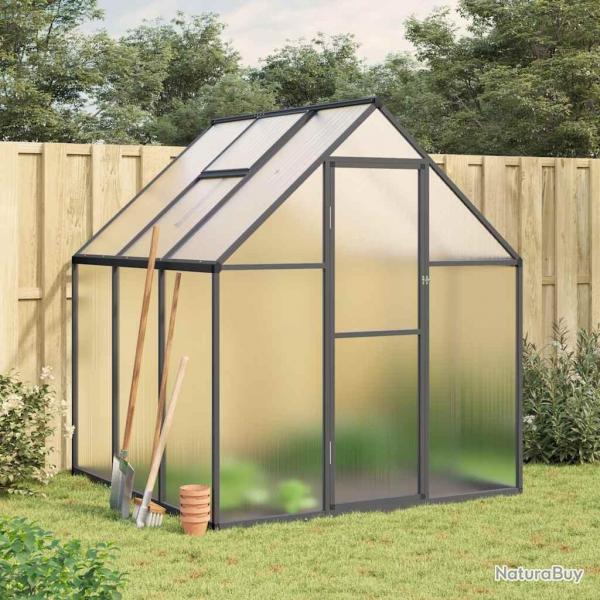 Serre avec cadre de base anthracite 169x169x195 cm aluminium alsavelo