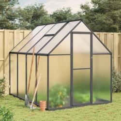 Serre avec cadre de base anthracite 224x169x195 cm aluminium alsavelo