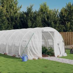 Serre avec cadre en acier blanc 24 m² 8x3x2 m alsavelo