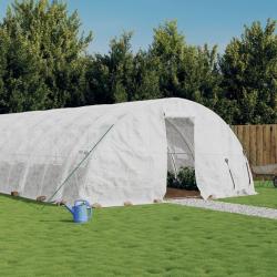 Serre avec cadre en acier blanc 30 m² 6x5x2,3 m alsavelo