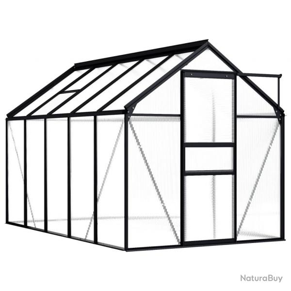 Serre Anthracite Aluminium 5,89 m alsavelo