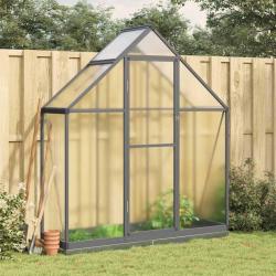 Serre avec cadre de base anthracite 169x58x202 cm aluminium alsavelo