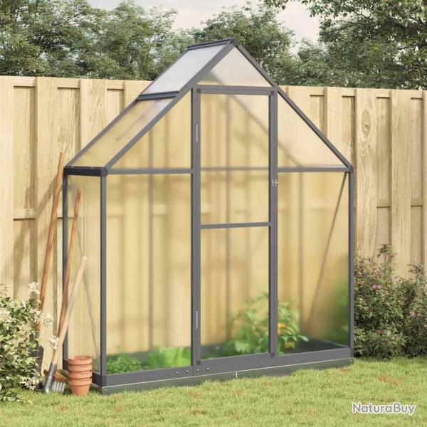 Serre avec cadre de base anthracite 169x58x202 cm aluminium alsavelo