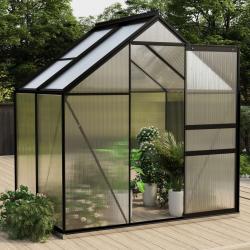 Serre Anthracite Aluminium 2,47 m² alsavelo