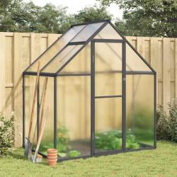 Serre avec cadre de base anthracite 169x114x195 cm aluminium alsavelo
