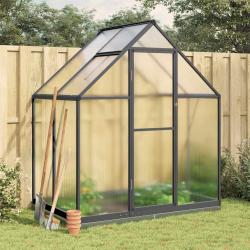 Serre avec cadre de base anthracite 169x114x202 cm aluminium alsavelo