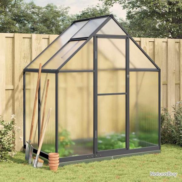 Serre avec cadre de base anthracite 169x114x202 cm aluminium alsavelo